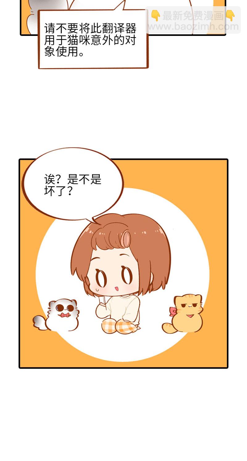 《猫咪的人类饲养指南》第53话 猫咪翻译机 第11页