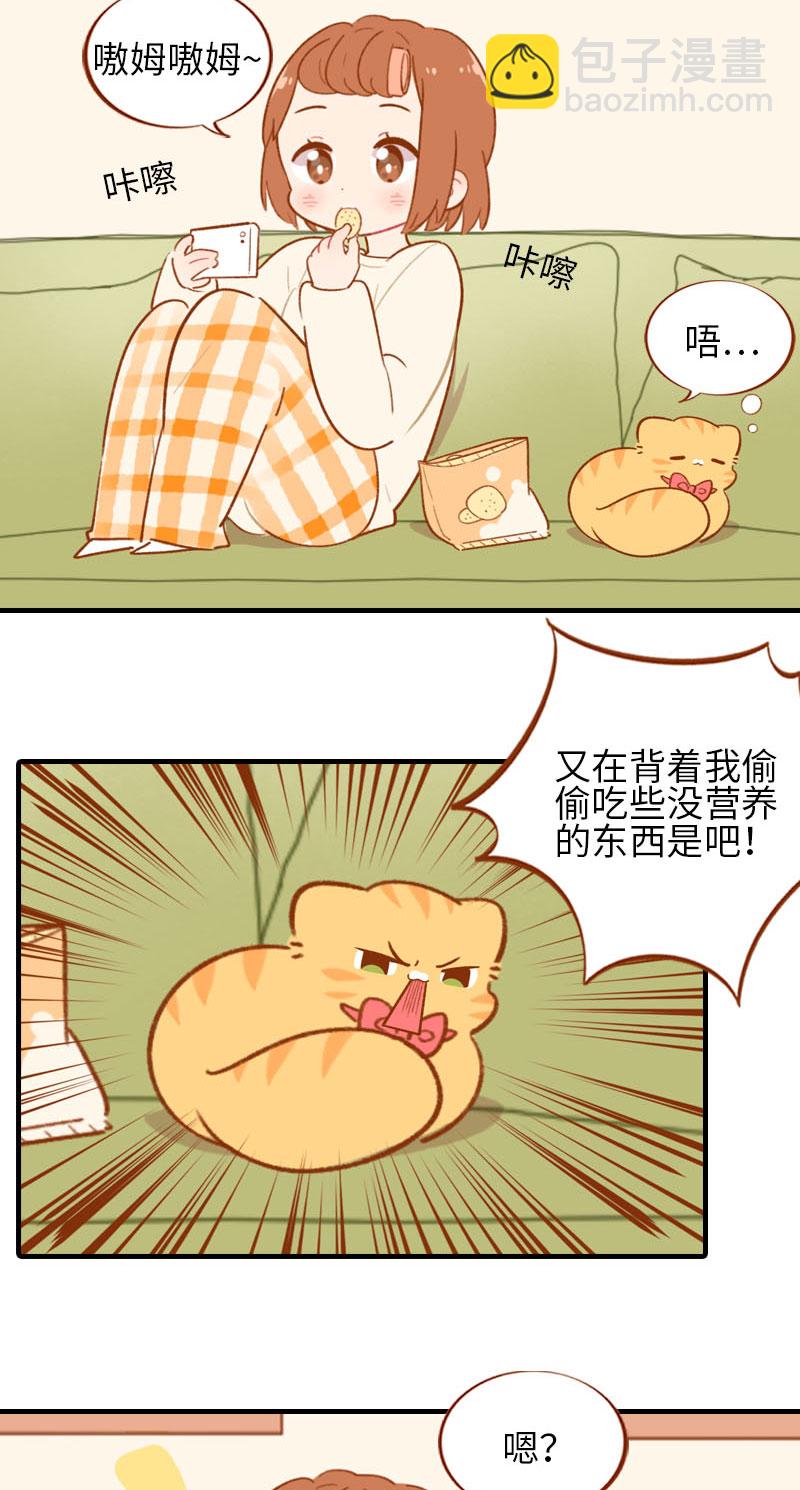 《猫咪的人类饲养指南》第53话 猫咪翻译机 第5页