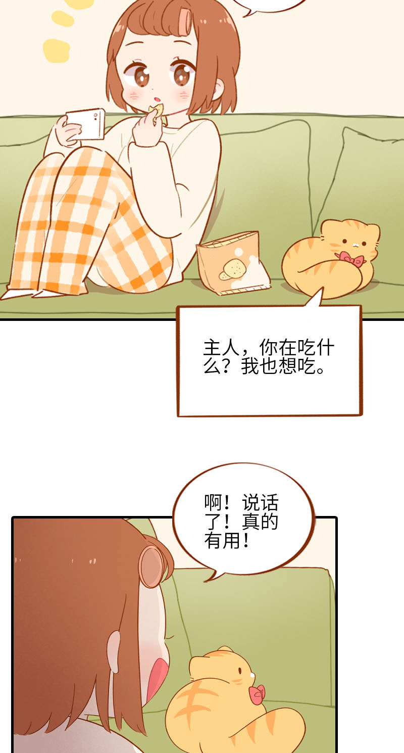 《猫咪的人类饲养指南》第53话 猫咪翻译机 第6页