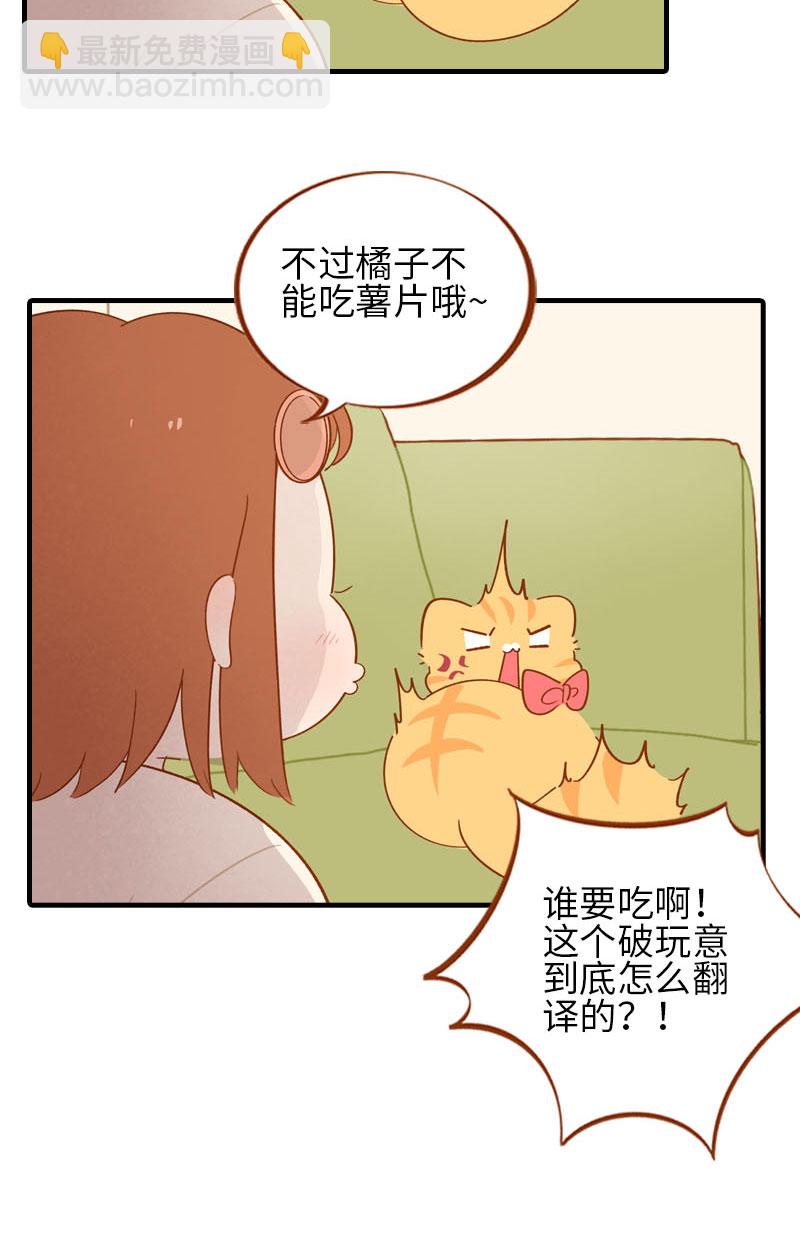 《猫咪的人类饲养指南》第53话 猫咪翻译机 第7页