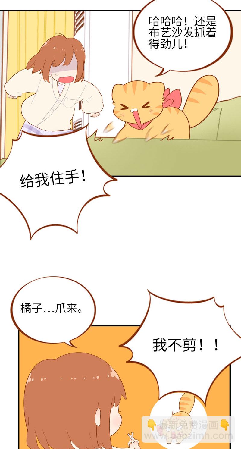 《猫咪的人类饲养指南》第56话 任人宰割的小猫咪 第3页