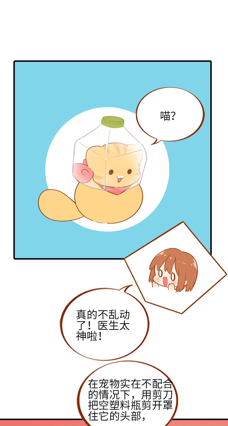 《猫咪的人类饲养指南》第56话 任人宰割的小猫咪 第6页