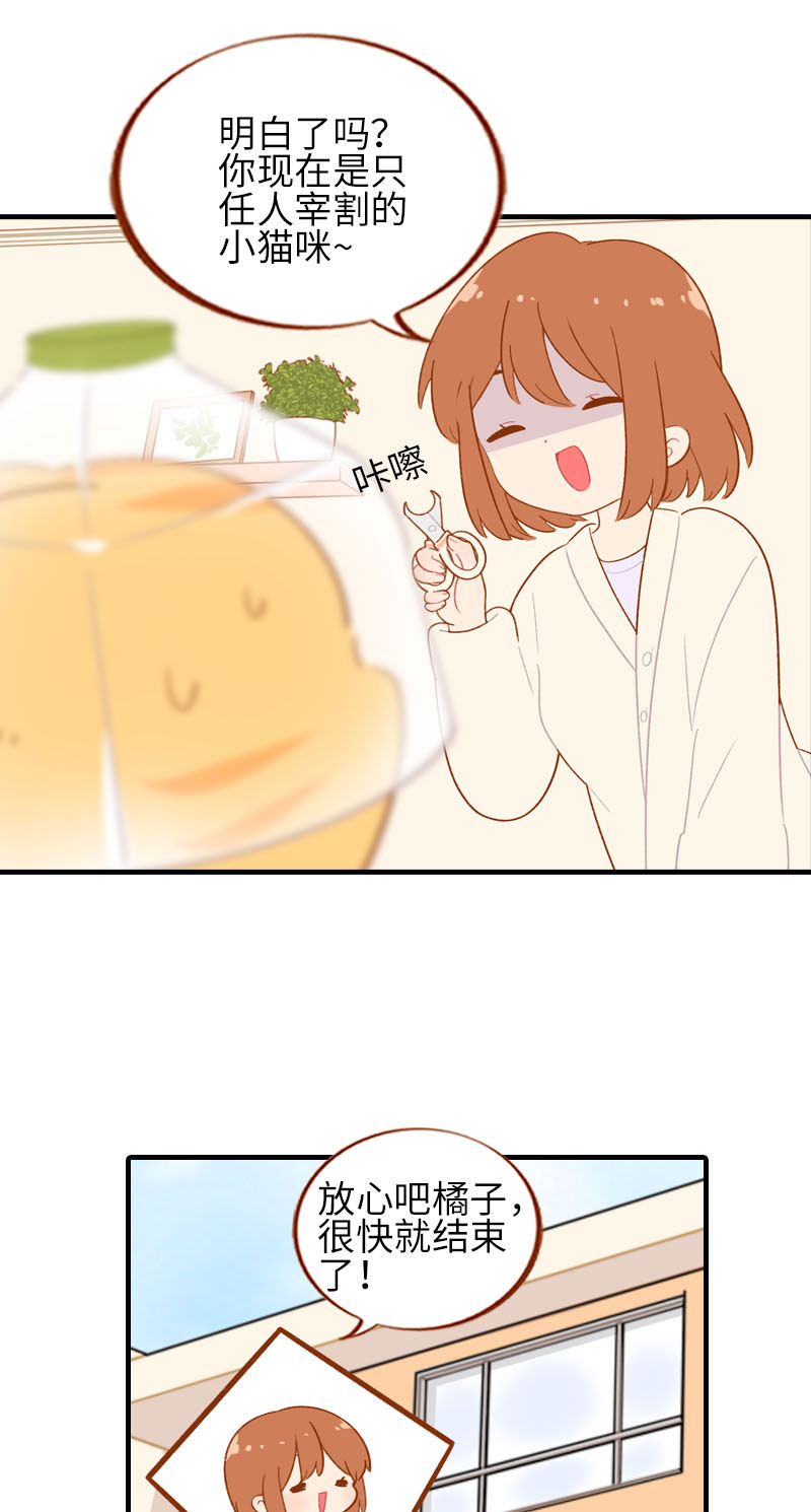 《猫咪的人类饲养指南》第56话 任人宰割的小猫咪 第8页