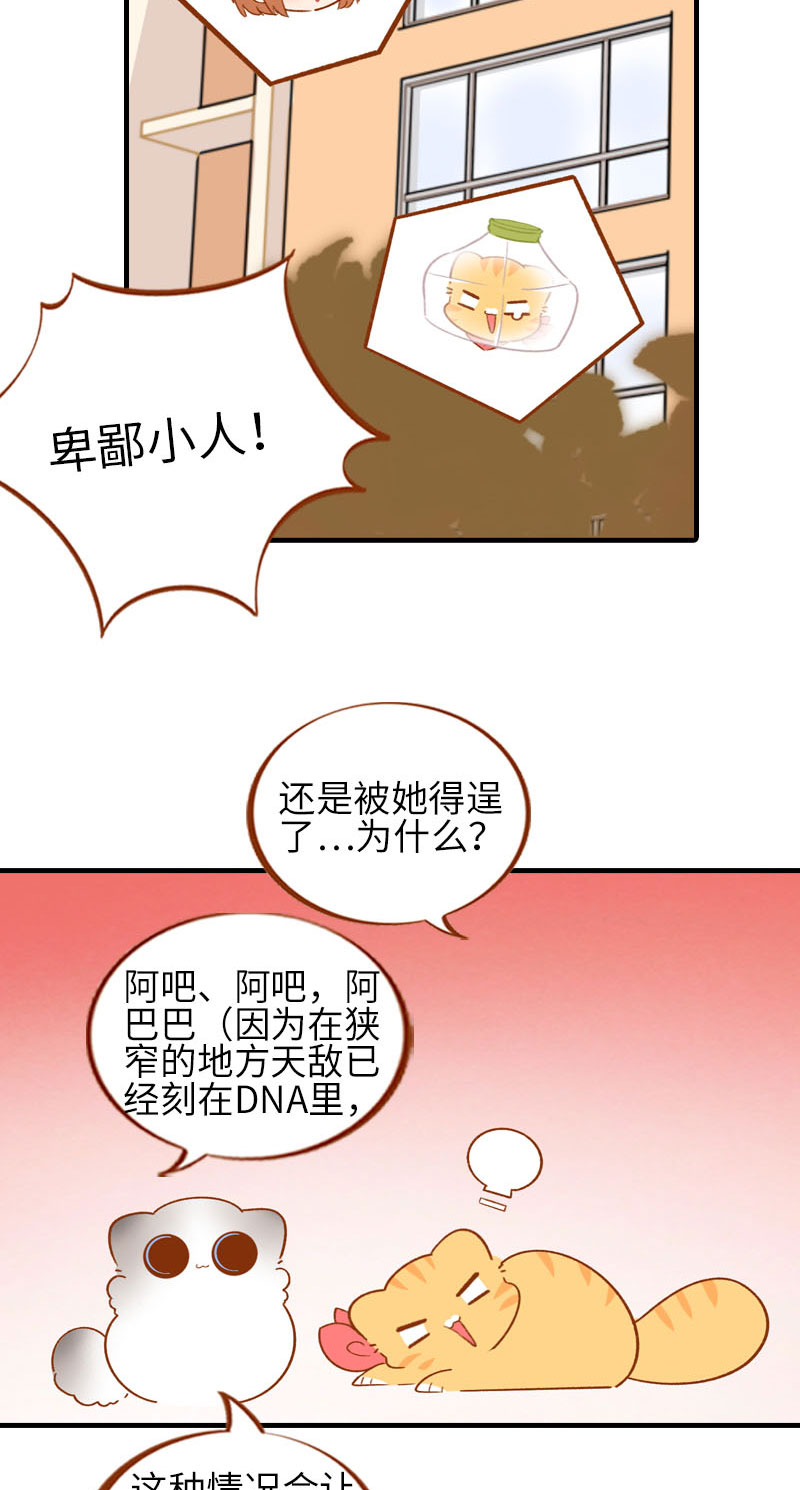 《猫咪的人类饲养指南》第56话 任人宰割的小猫咪 第9页