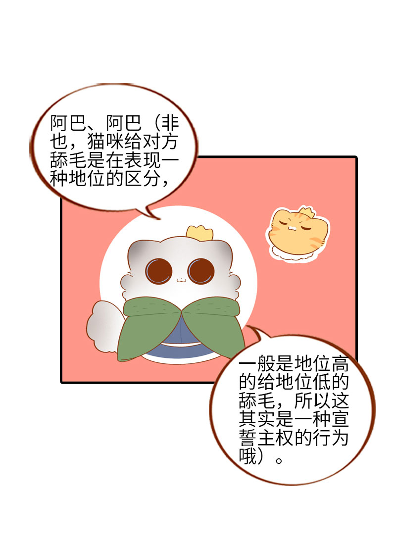 《猫咪的人类饲养指南》第55话 短腿团子来家做客！ 第10页