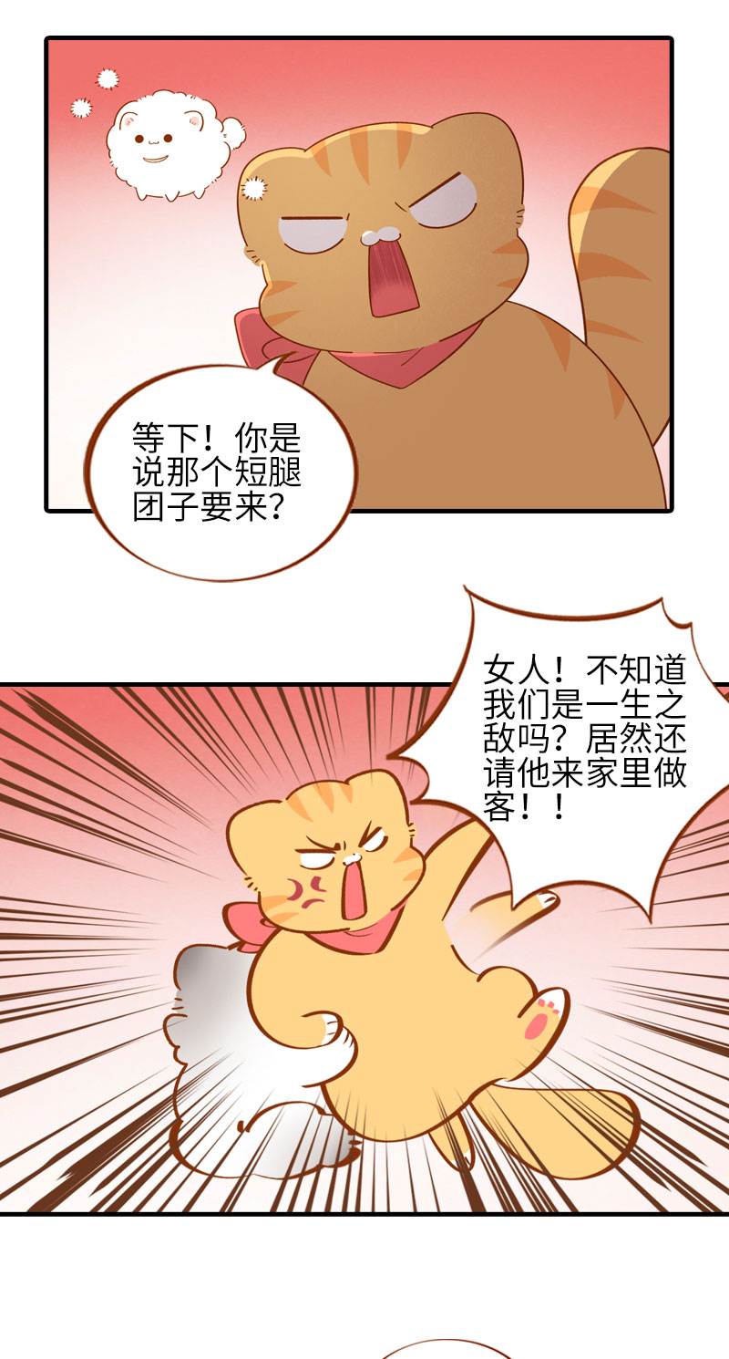 《猫咪的人类饲养指南》第55话 短腿团子来家做客！ 第5页