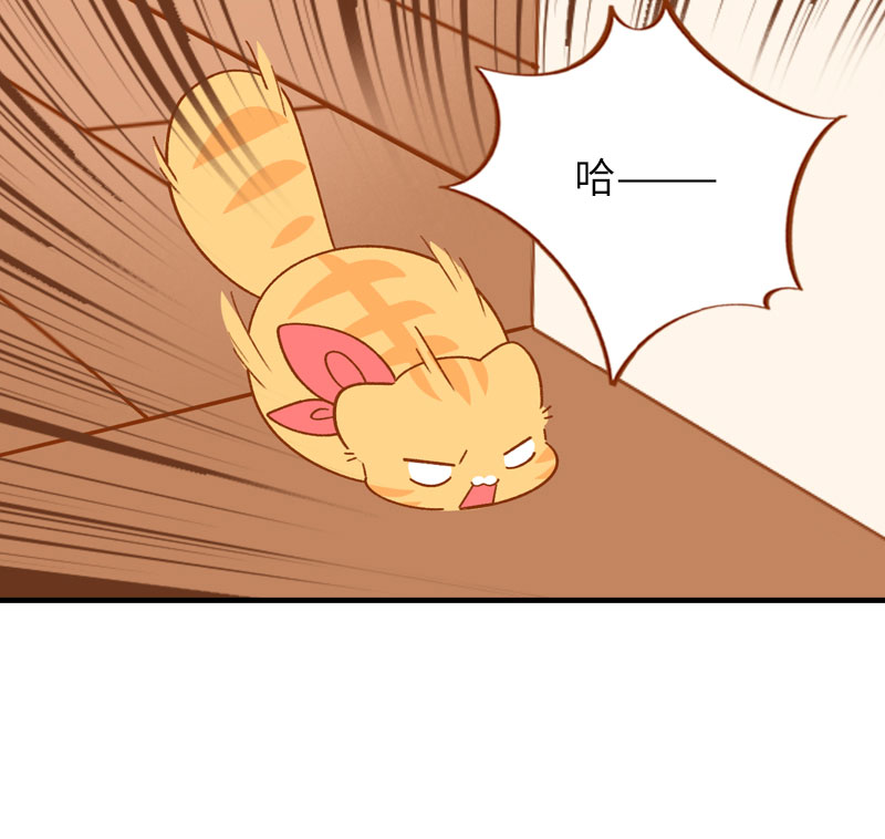 《猫咪的人类饲养指南》第55话 短腿团子来家做客！ 第7页