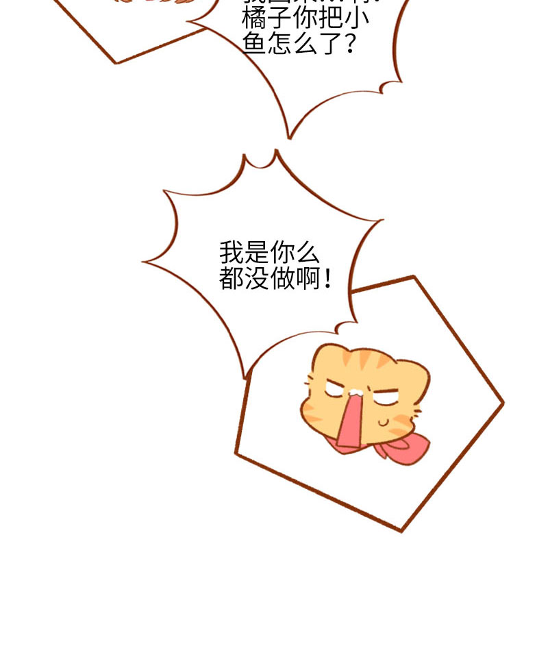 《猫咪的人类饲养指南》第57话 谁还吃观赏鱼啊 第10页