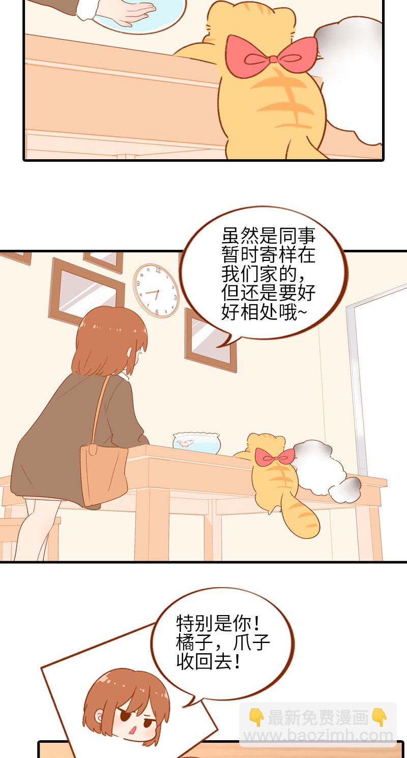 《猫咪的人类饲养指南》第57话 谁还吃观赏鱼啊 第3页
