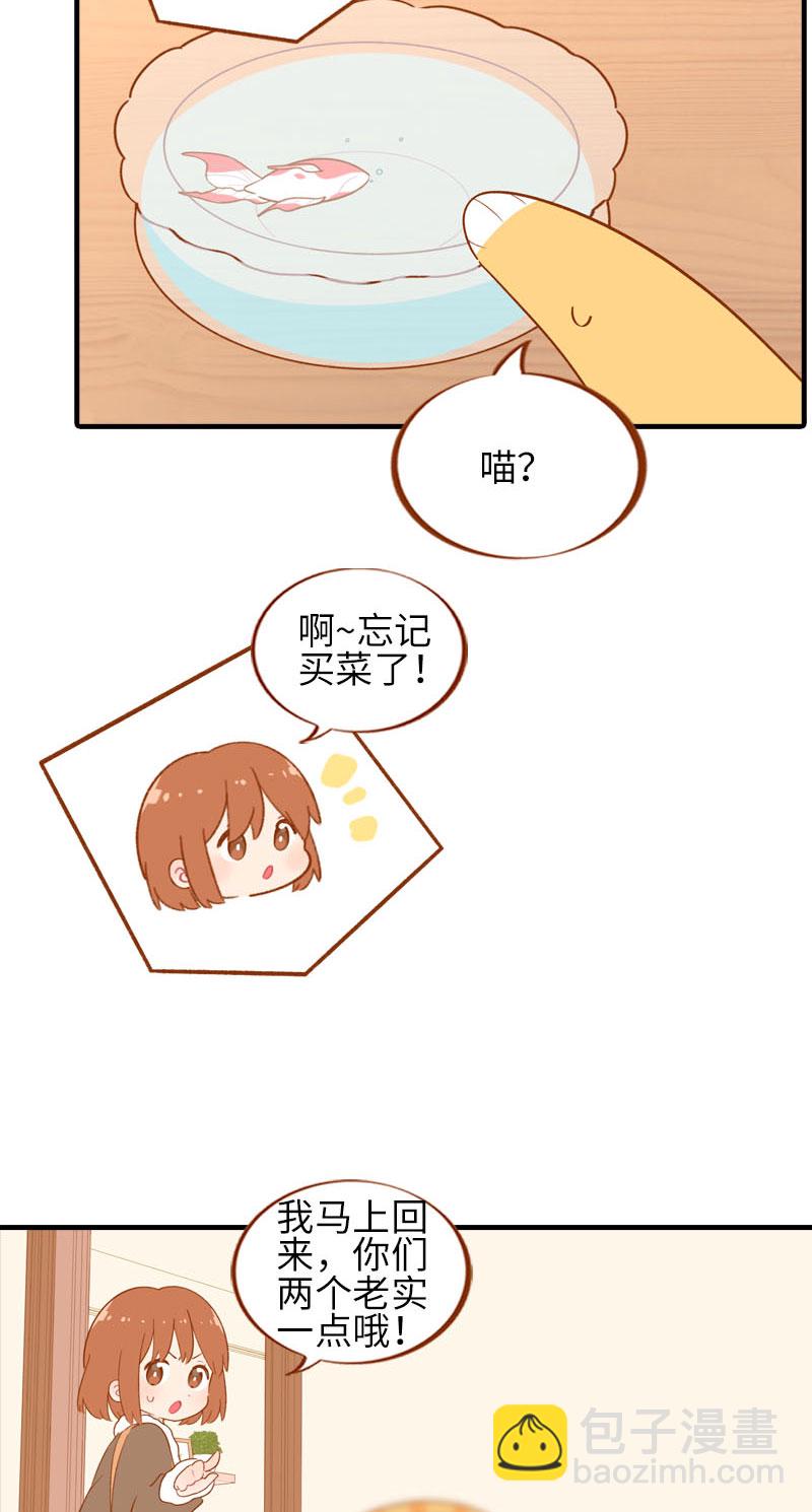 《猫咪的人类饲养指南》第57话 谁还吃观赏鱼啊 第4页