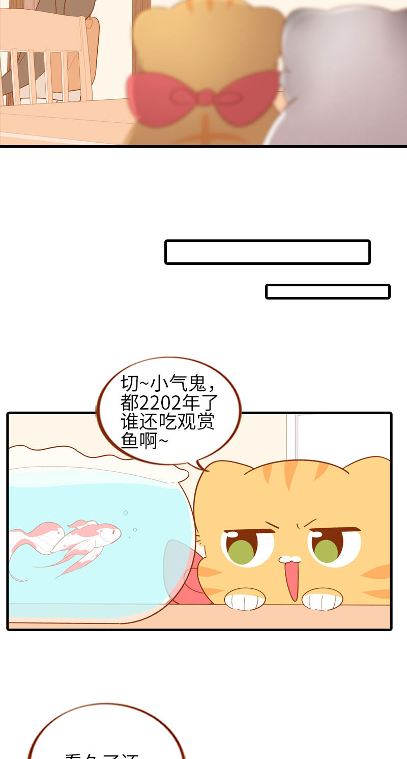 《猫咪的人类饲养指南》第57话 谁还吃观赏鱼啊 第5页