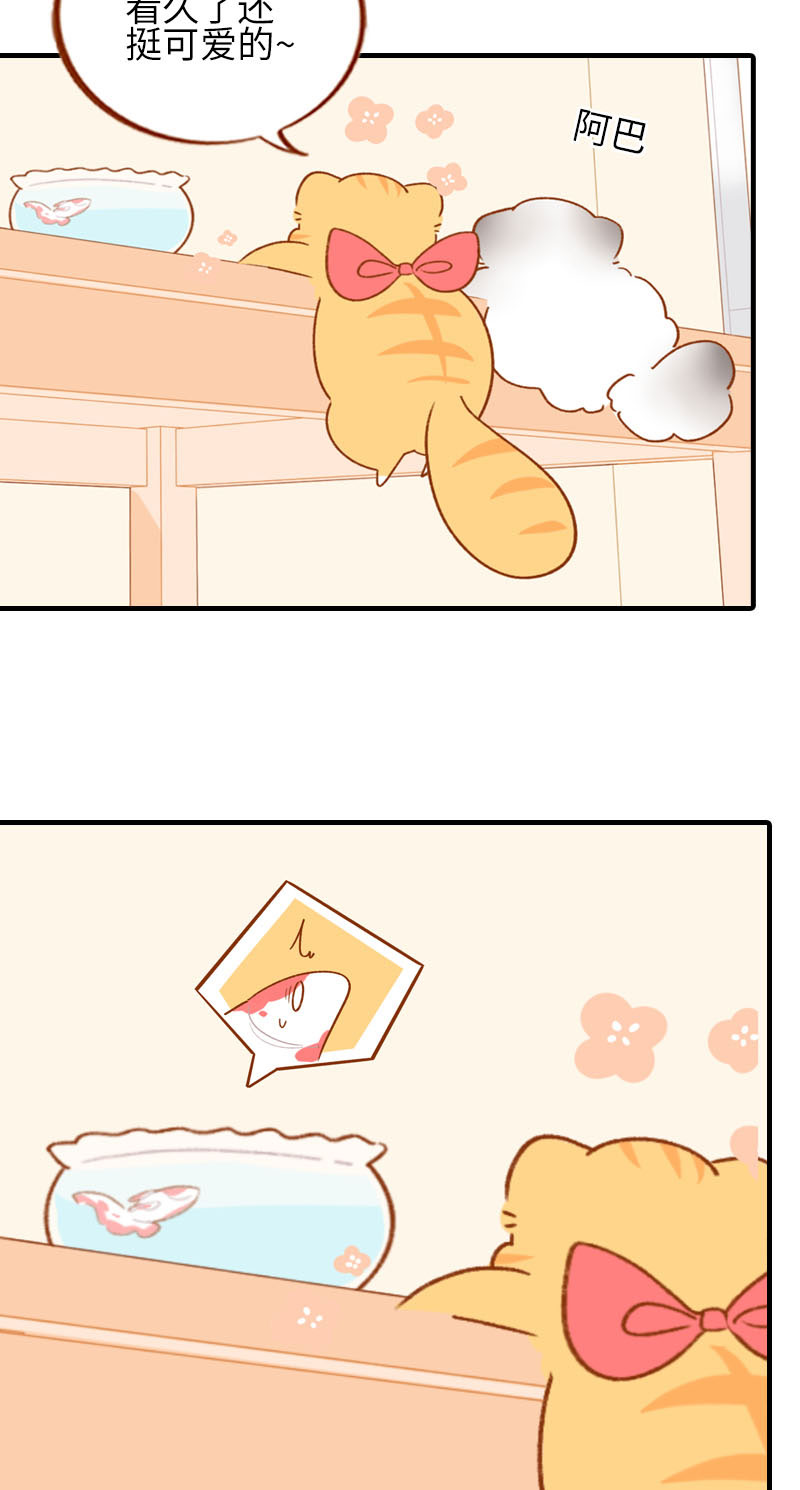 《猫咪的人类饲养指南》第57话 谁还吃观赏鱼啊 第6页
