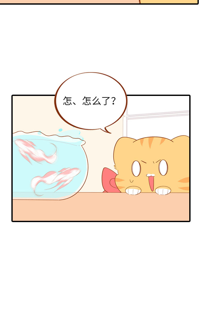 《猫咪的人类饲养指南》第57话 谁还吃观赏鱼啊 第7页