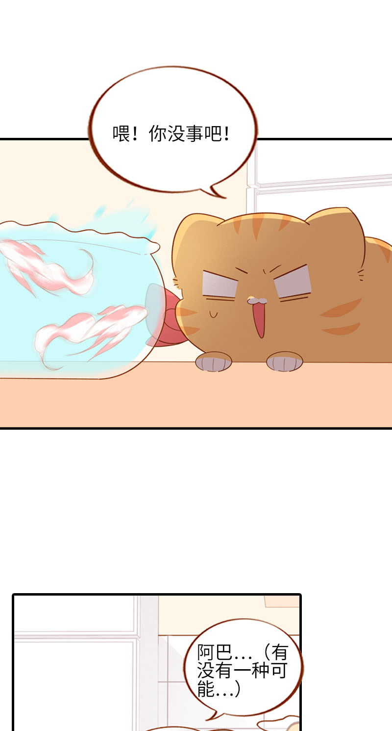 《猫咪的人类饲养指南》第57话 谁还吃观赏鱼啊 第8页