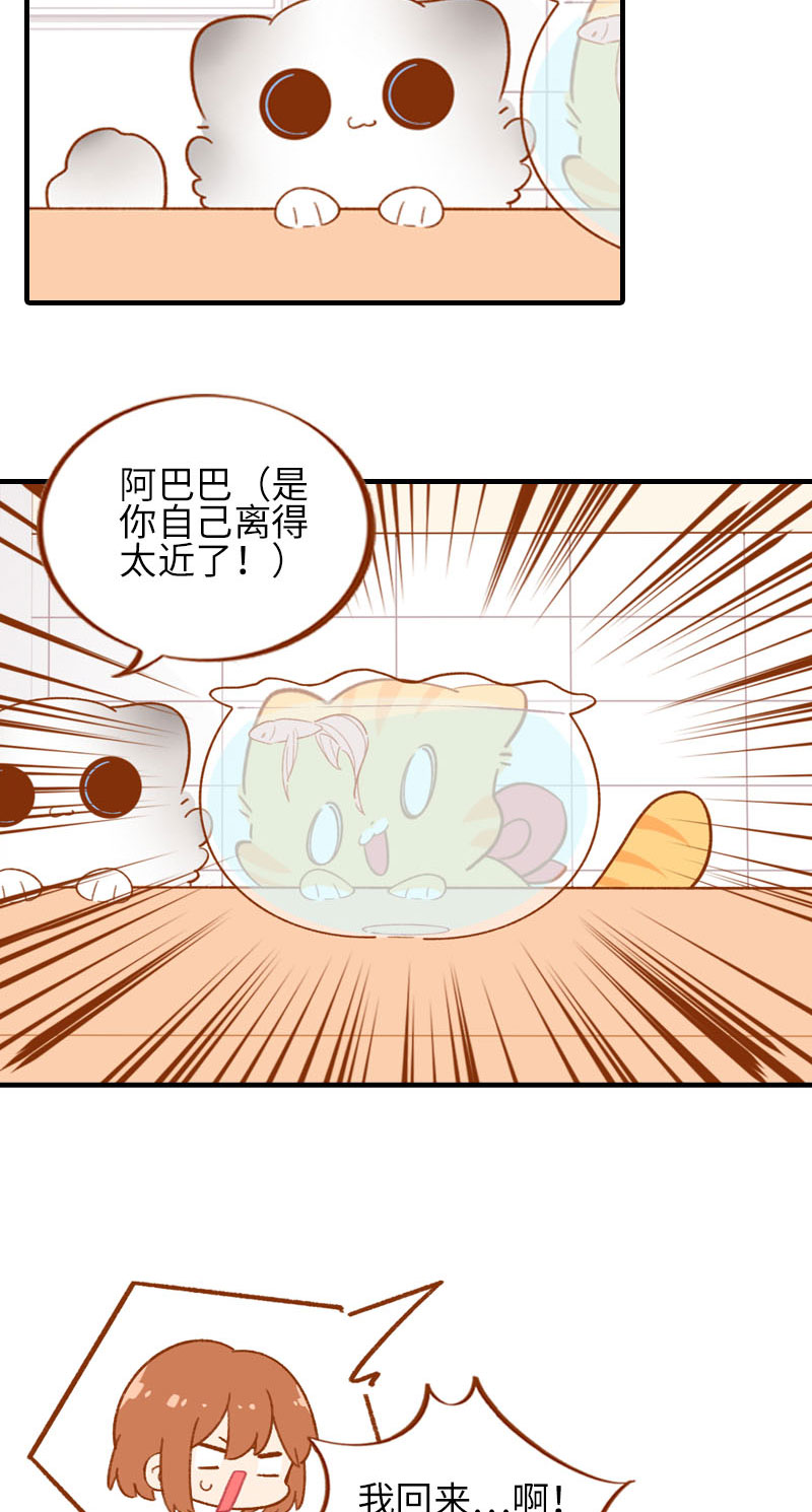 《猫咪的人类饲养指南》第57话 谁还吃观赏鱼啊 第9页