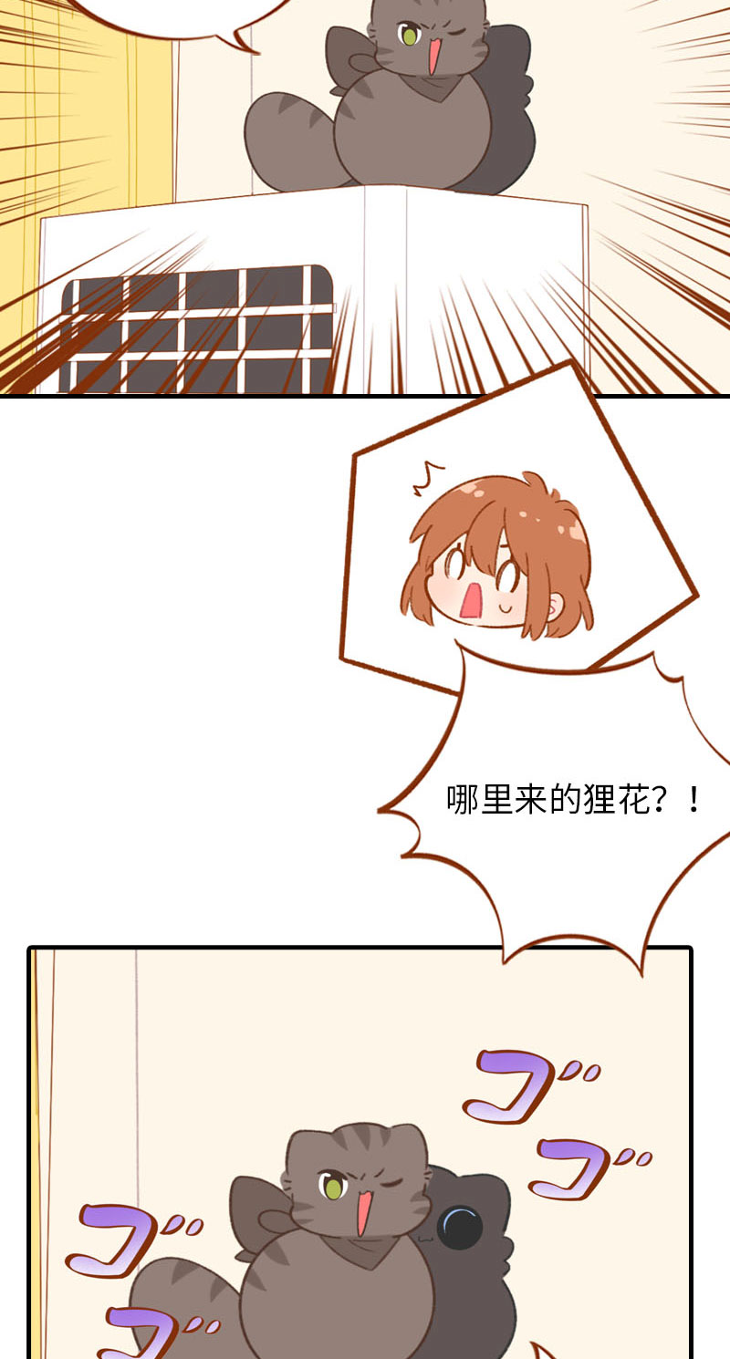 《猫咪的人类饲养指南》第58话 橘子和阿巴巴风格转换！ 第10页