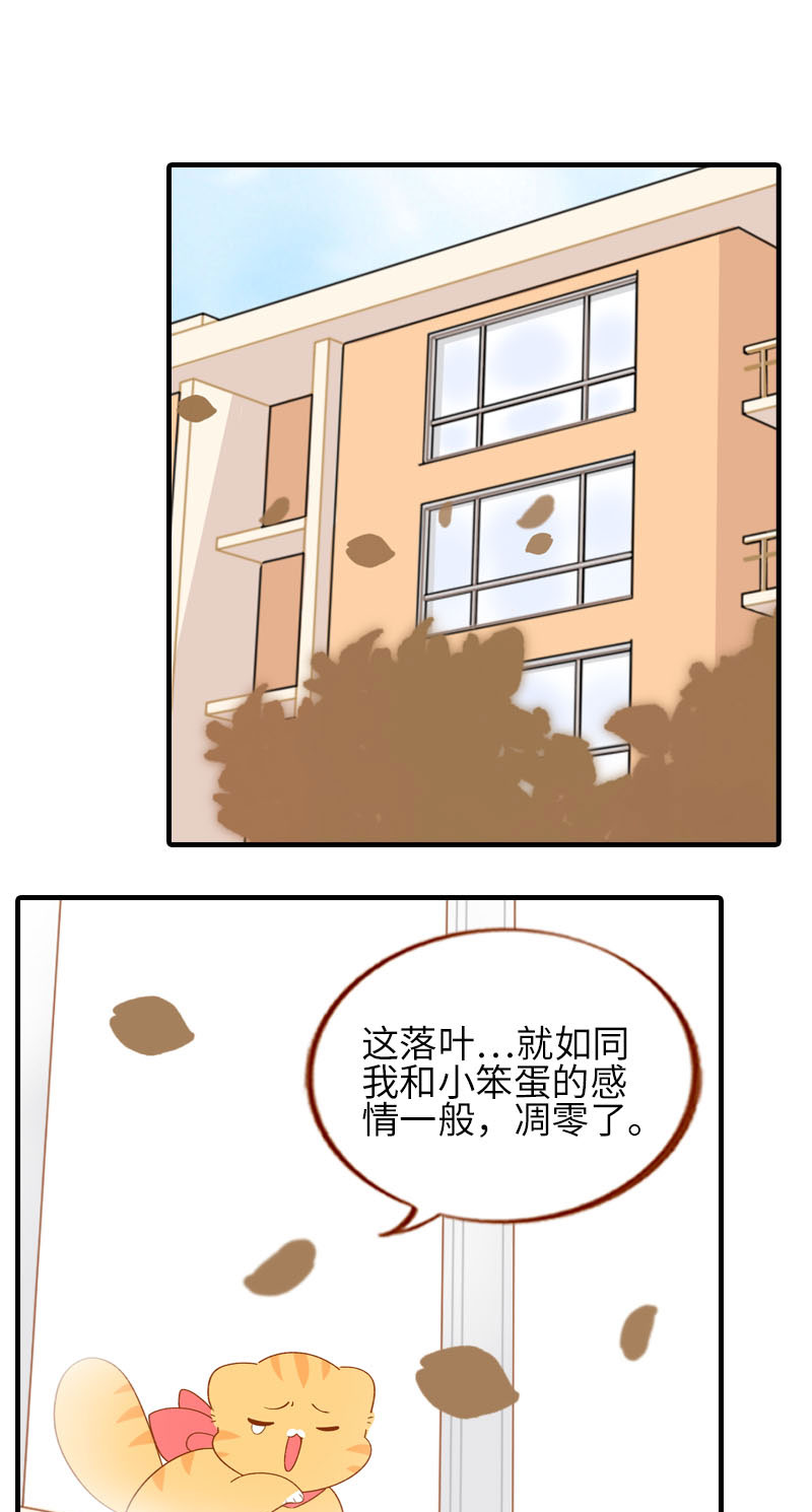 《猫咪的人类饲养指南》第58话 橘子和阿巴巴风格转换！ 第2页