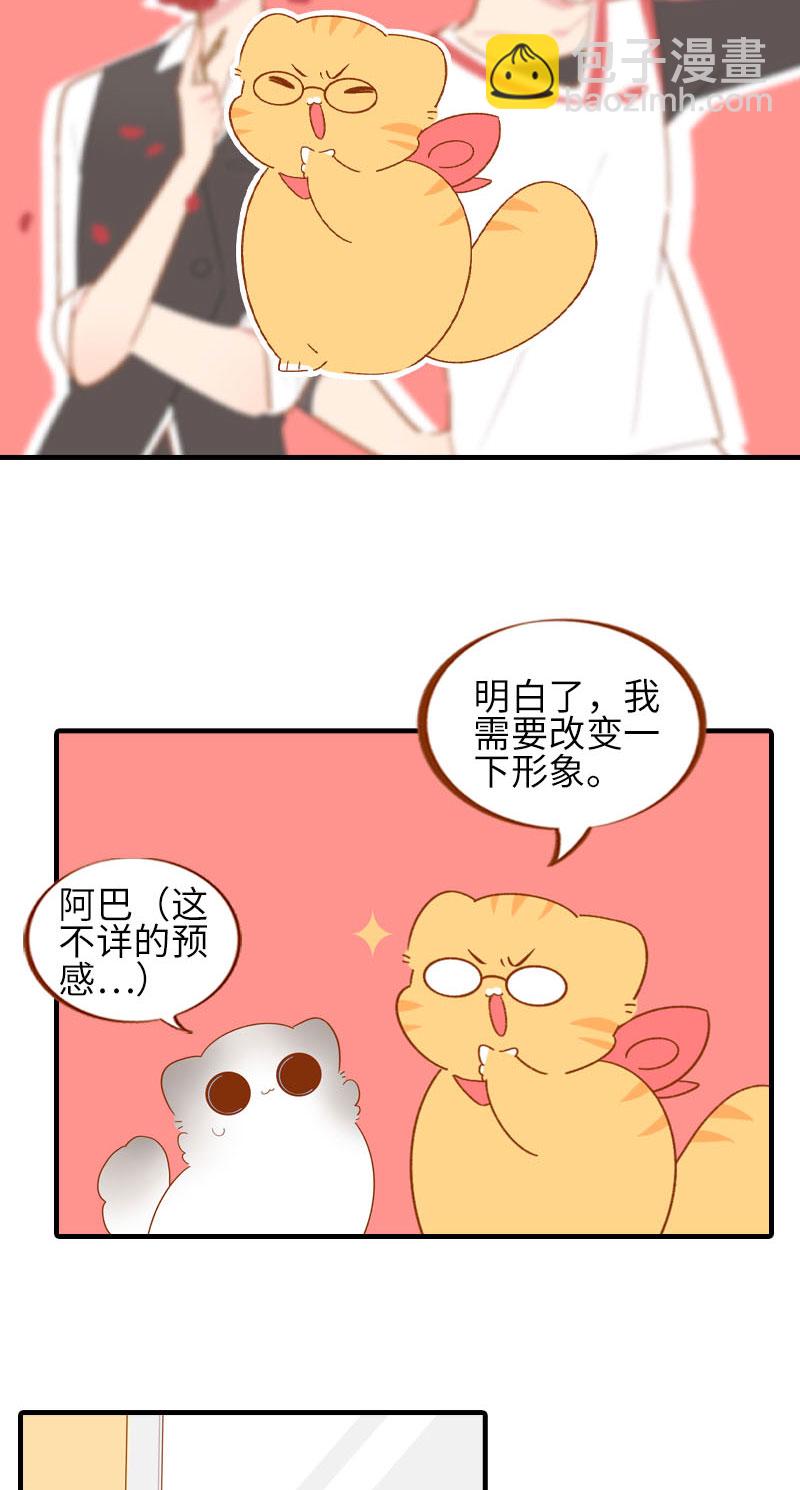 《猫咪的人类饲养指南》第58话 橘子和阿巴巴风格转换！ 第4页