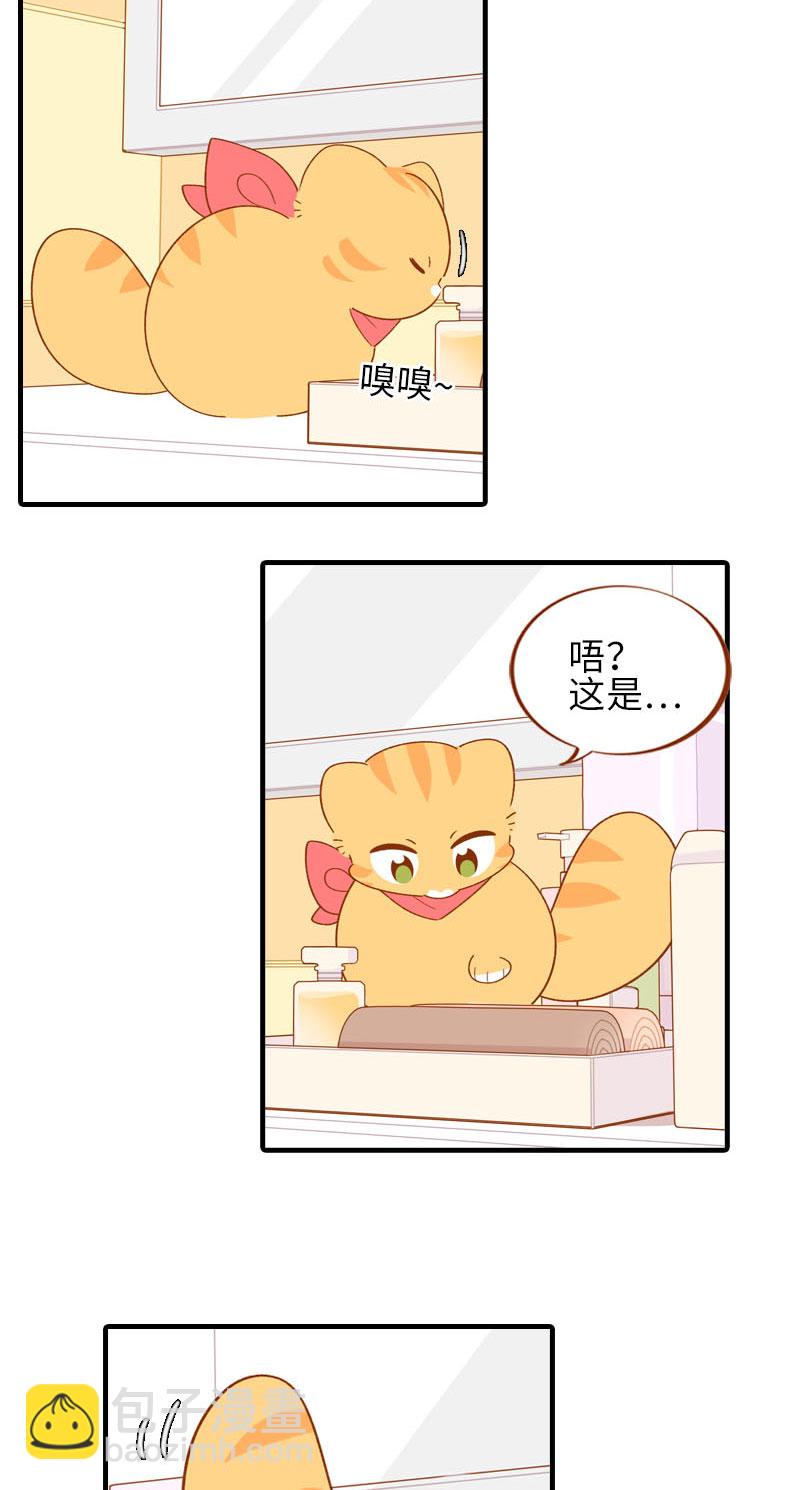 《猫咪的人类饲养指南》第58话 橘子和阿巴巴风格转换！ 第5页