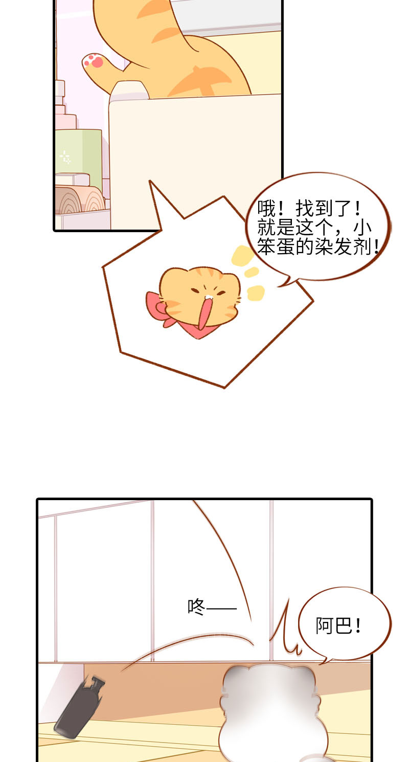《猫咪的人类饲养指南》第58话 橘子和阿巴巴风格转换！ 第6页
