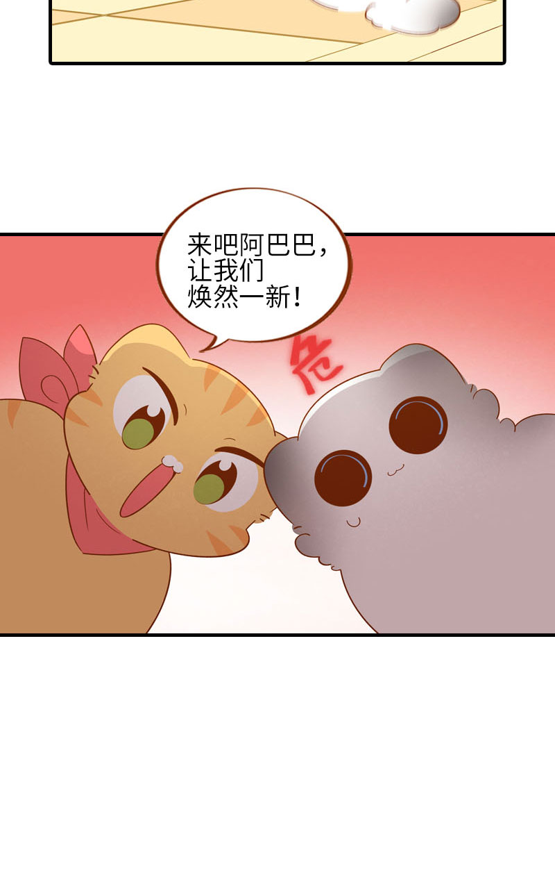《猫咪的人类饲养指南》第58话 橘子和阿巴巴风格转换！ 第7页