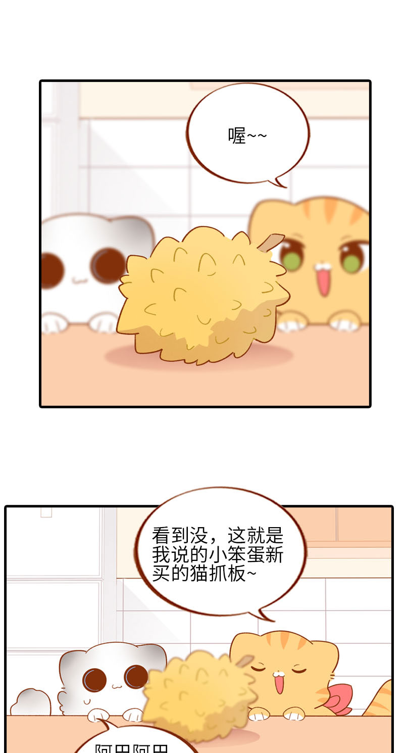 《猫咪的人类饲养指南》第59话 来口榴莲 第2页