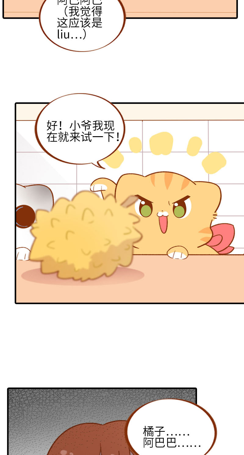 《猫咪的人类饲养指南》第59话 来口榴莲 第3页