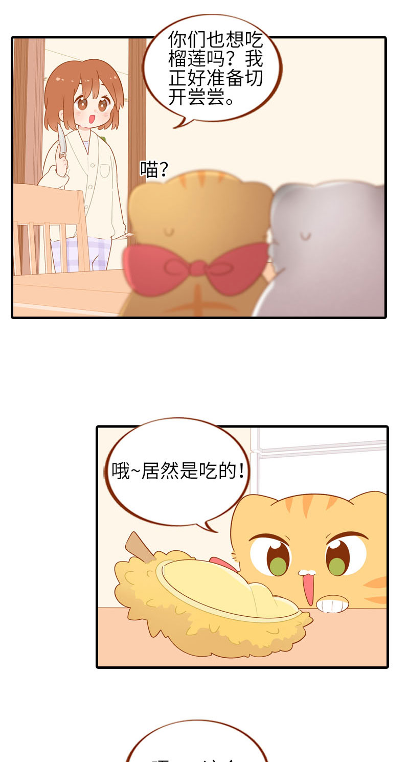 《猫咪的人类饲养指南》第59话 来口榴莲 第5页