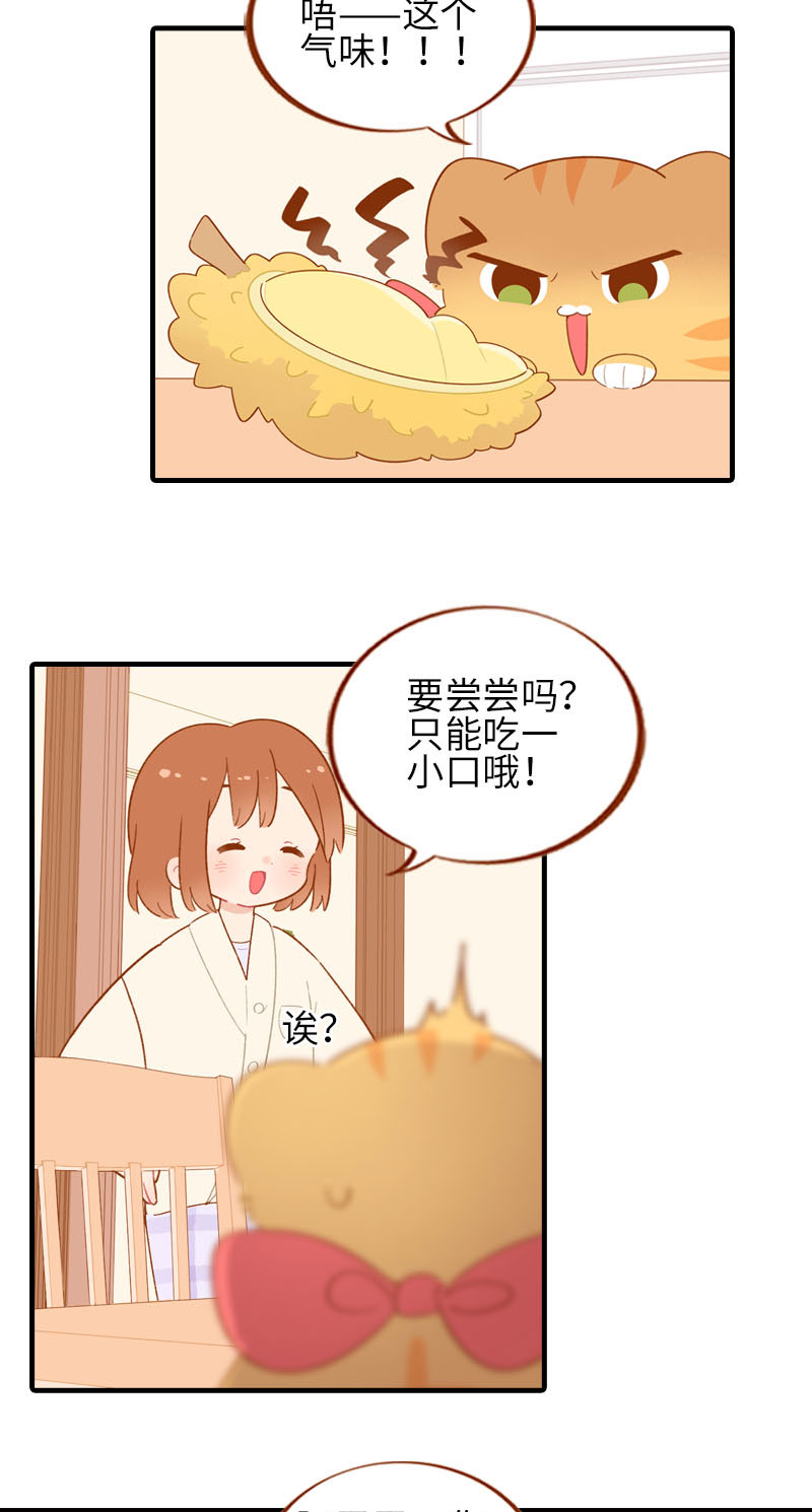 《猫咪的人类饲养指南》第59话 来口榴莲 第6页