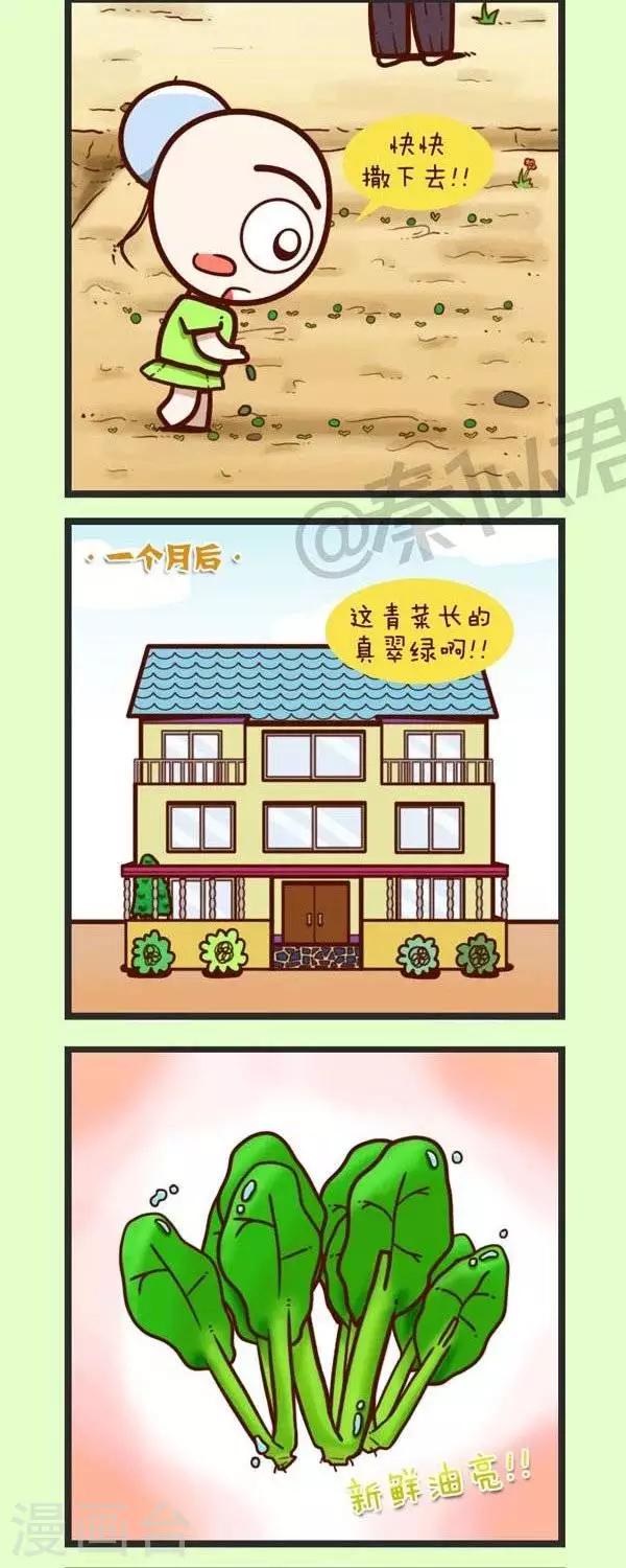 《四四和五五》第45话种青菜 第22页