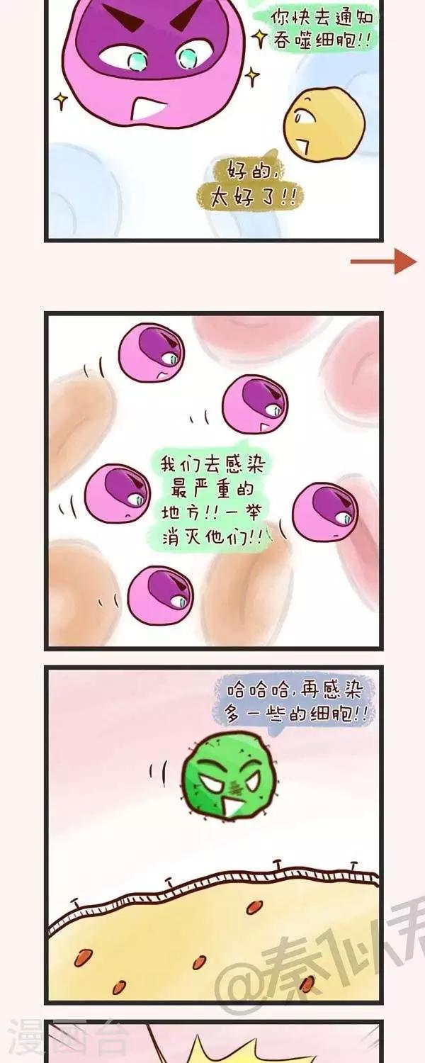 《四四和五五》第49话生病了 第17页