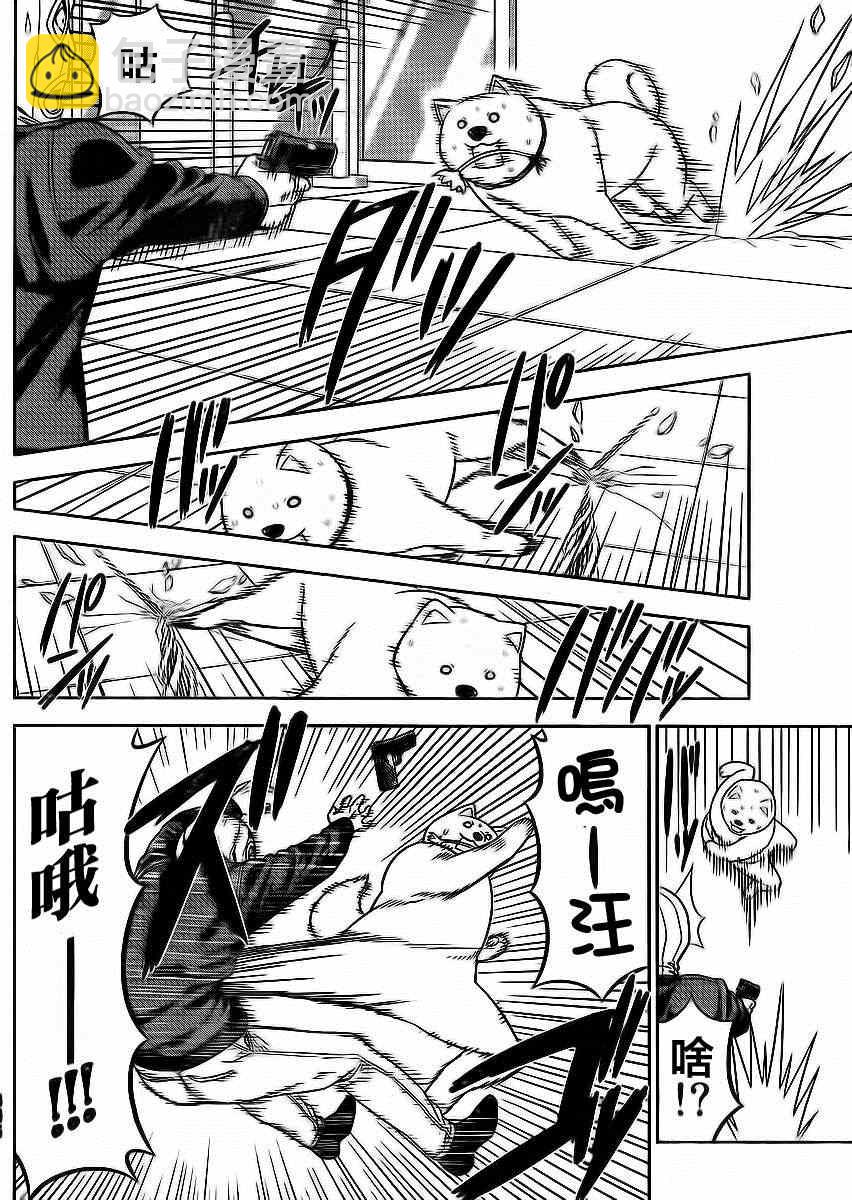 《笨女孩》第87话 第8页