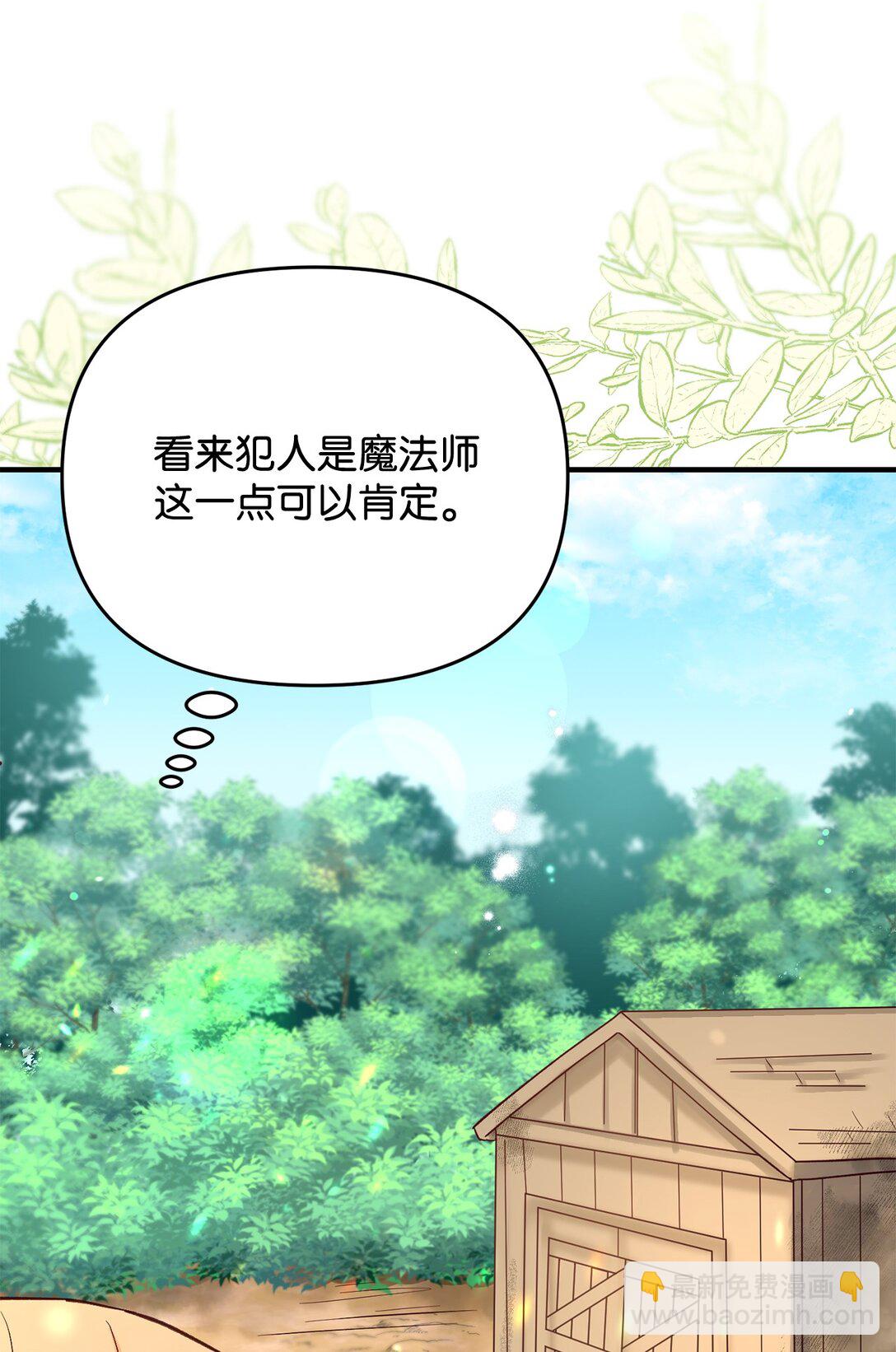 《拐走战争狂丈夫的孩子》47 误导 第39页