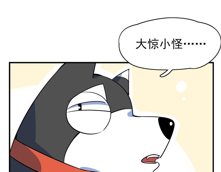 《我是9000后》第40话 军犭往事 第15页