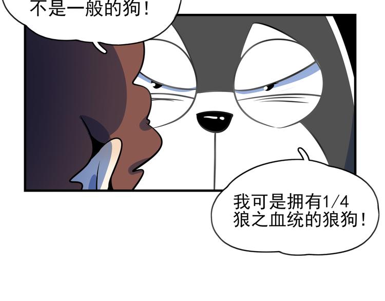 《我是9000后》第40话 军犭往事 第27页