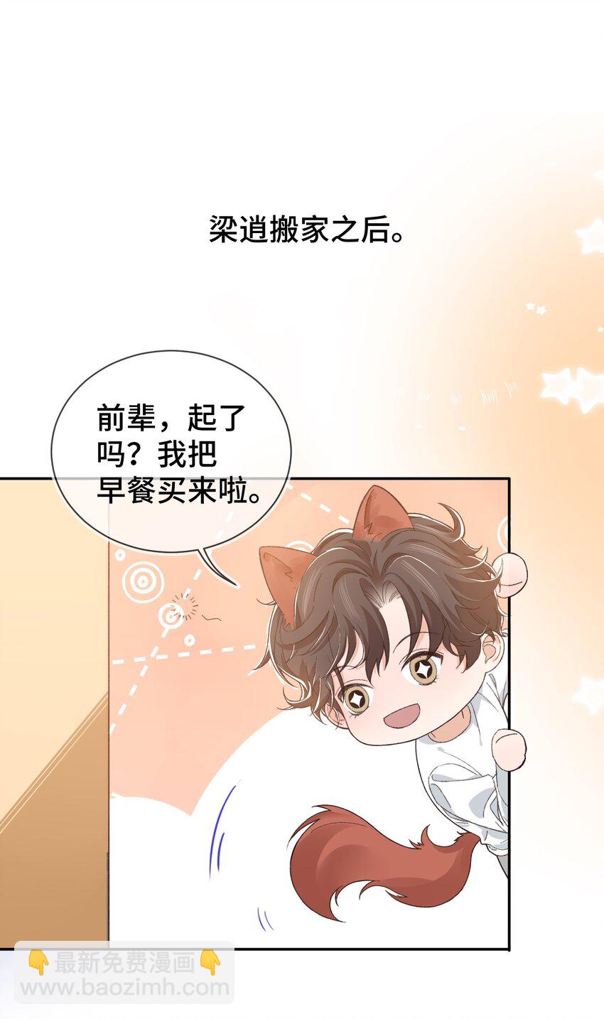 《晚安梁逍》番外 番外 第4页