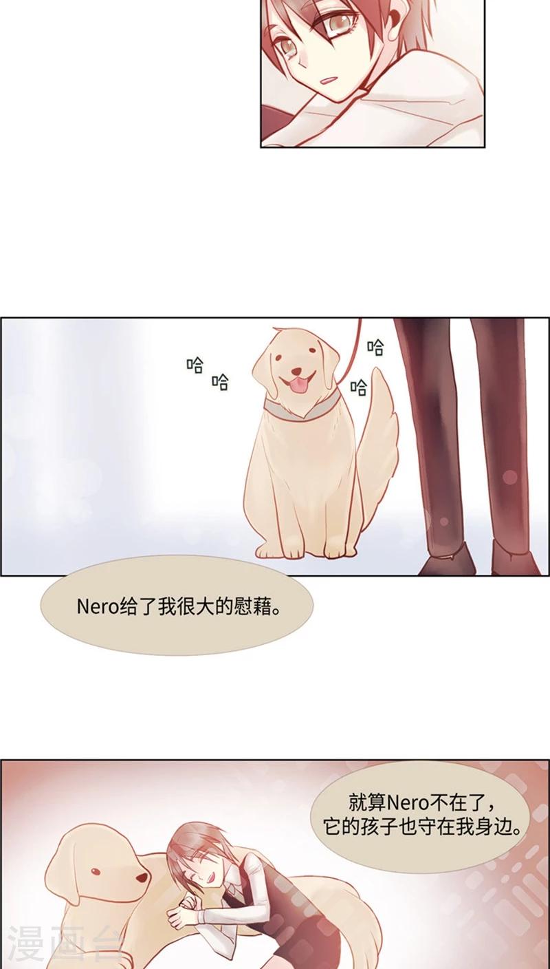 《订制恋情》第52话 Nero二世 第5页