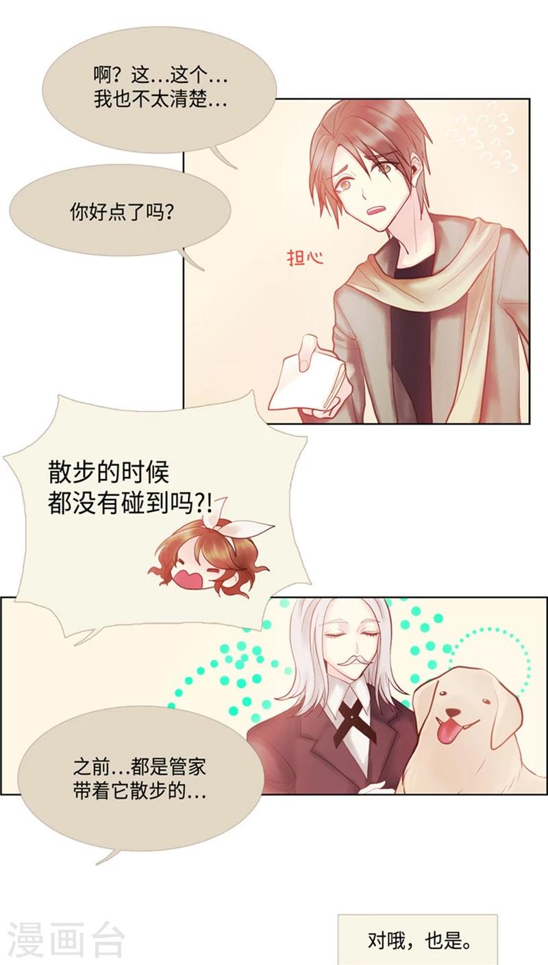 《订制恋情》第61话 我选择狗带 第7页