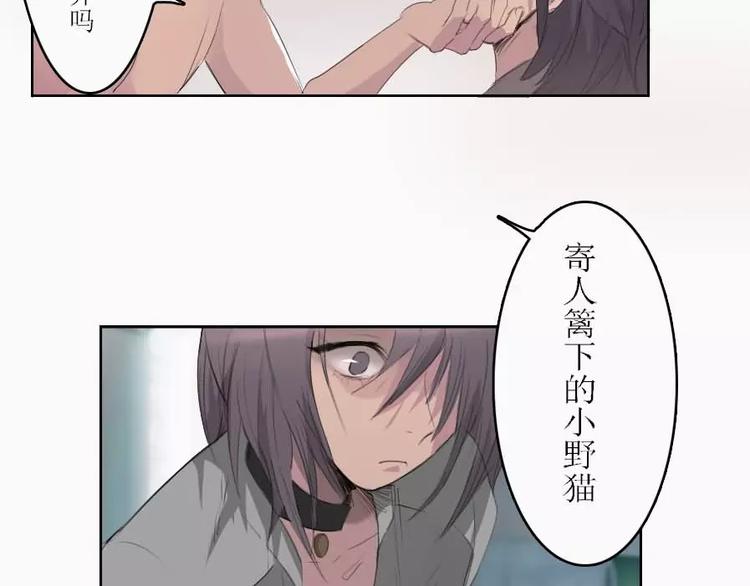 《腹黑妹妹不好惹》第4话寄人篱下的小野猫 第16页