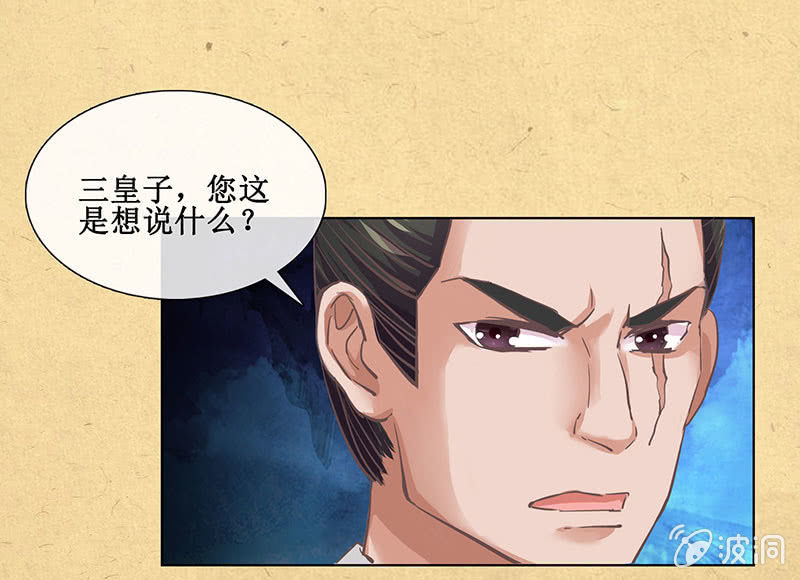 《烟雨沉逸》第十九回 三皇子的野心 第25页