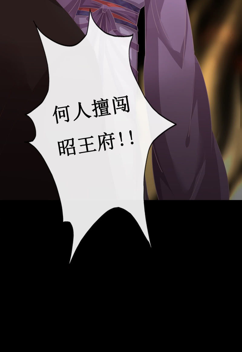 《烟雨沉逸》第卅六回 先皇遗子 第10页