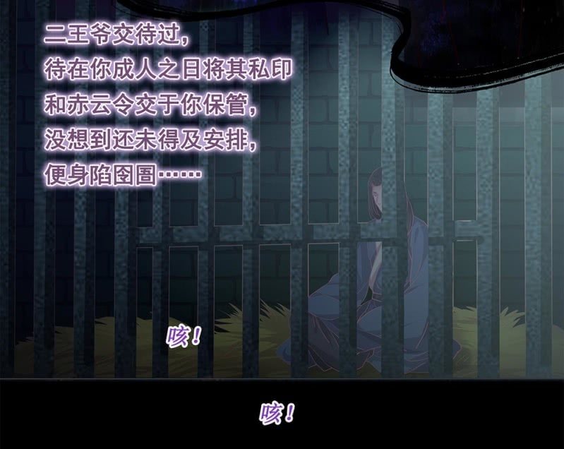 《烟雨沉逸》第卅七回 半墙残月摇花影 第12页