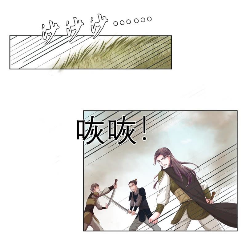 《烟雨沉逸》第卌五回 被掩盖的功绩 第12页