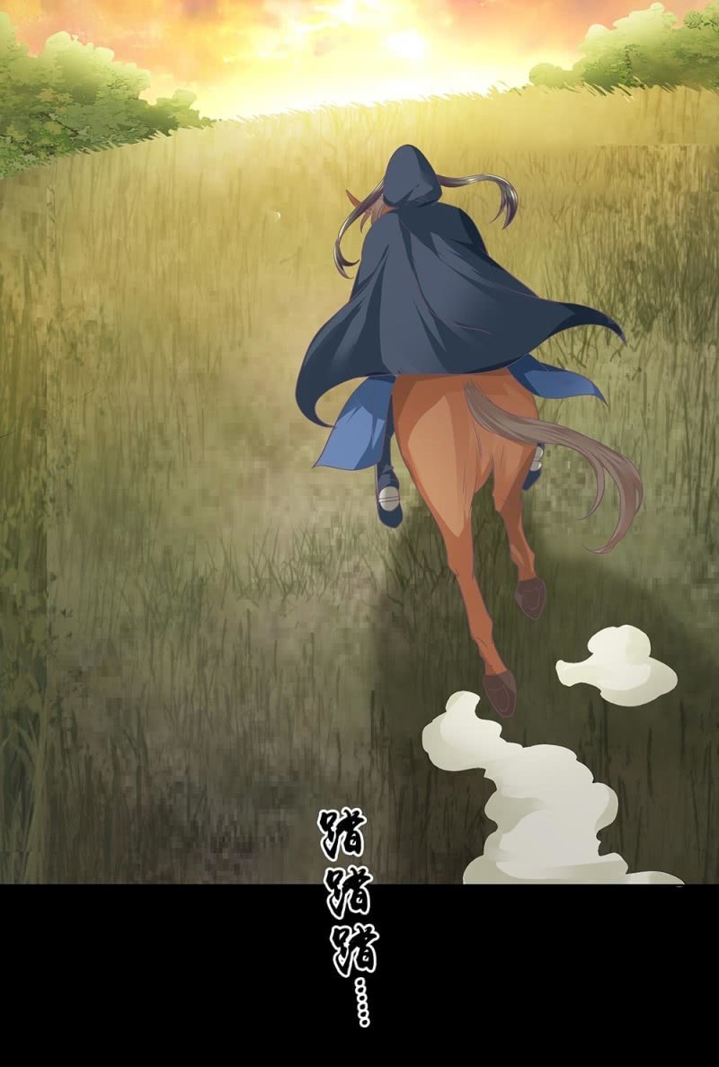 《烟雨沉逸》第卌五回 被掩盖的功绩 第36页