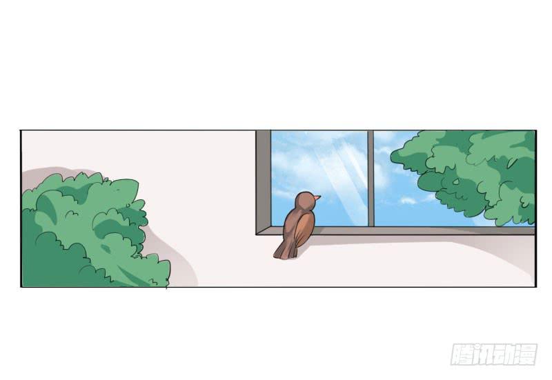 《表情包女王》第五十一话 复仇的开局 第22页