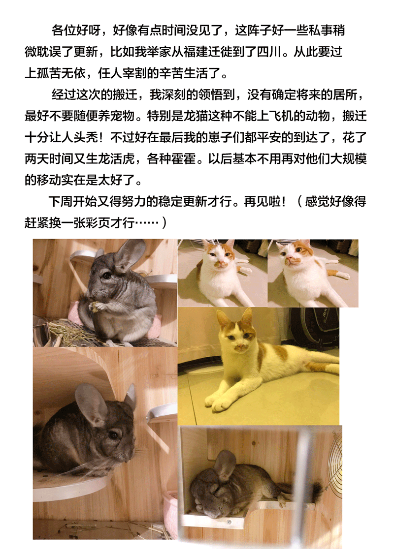 《僵界》78 第二十四话 四象阵阵图 第8页