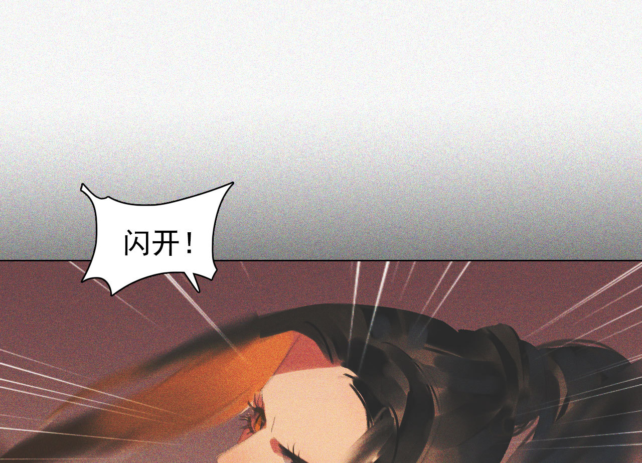 《将军，臣不能！》第十一章 刺客终于出现 第37页