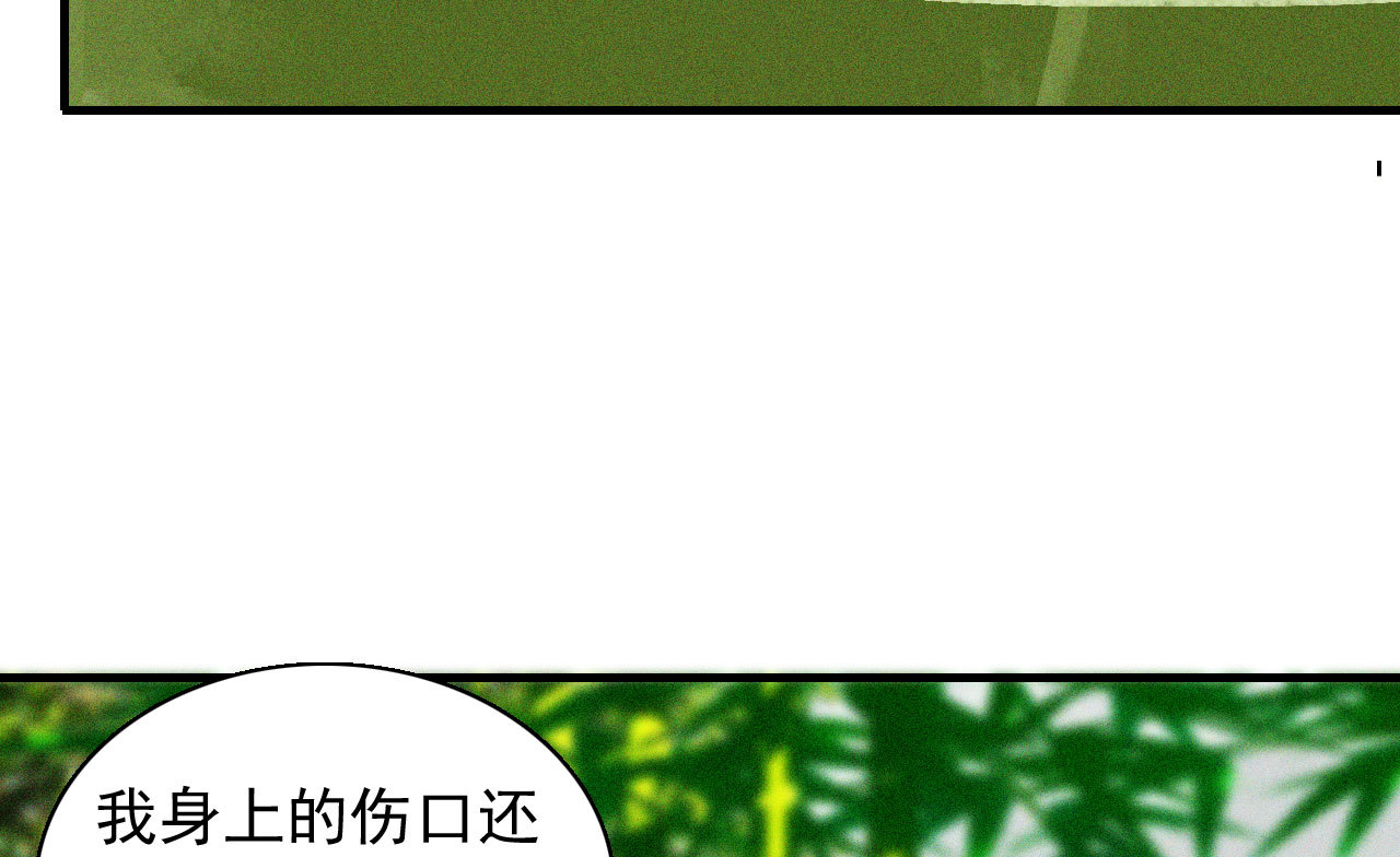 《将军，臣不能！》第十九章 暴露身份的纵火犯 第31页
