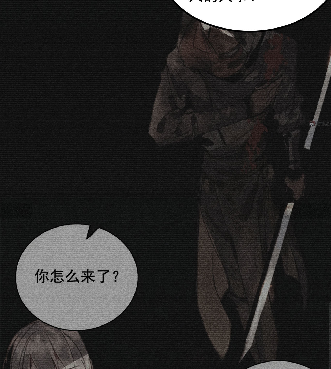 《将军，臣不能！》第三十六章 你不是我姐姐 第13页