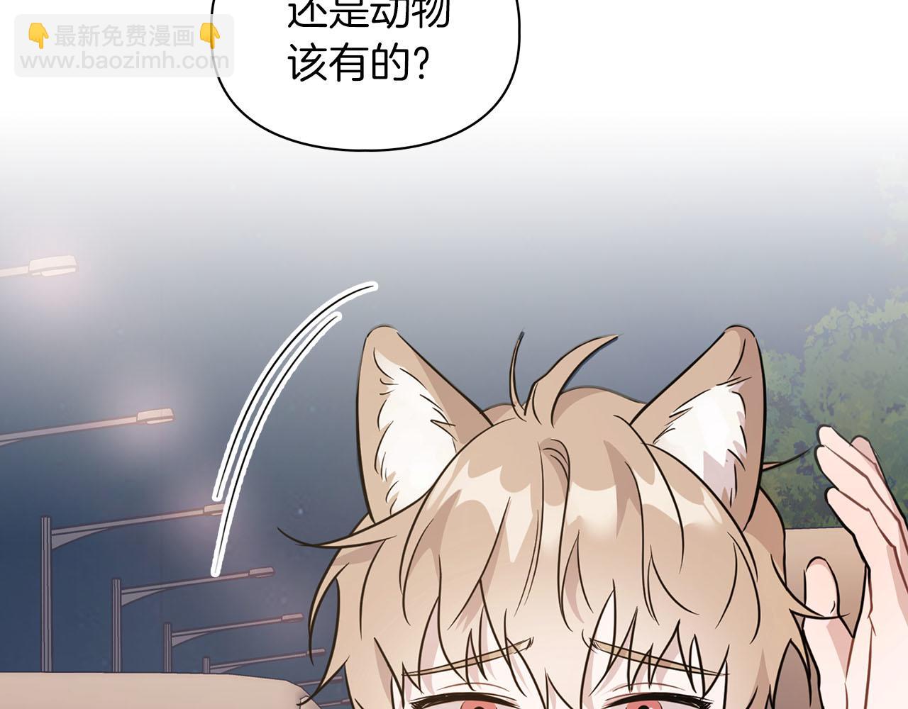 《顶级猎物》第4话 半兽人社会 第6页